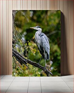 Πίνακας, Majestic Heron on a Branch Μεγαλοπρεπής ερωδιός σε ένα κλαδί