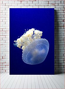 Πίνακας, Majestic Jellyfish Majestic Jellyfish