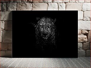 Πίνακας, Majestic Leopard in the Dark Majestic Leopard in the Dark