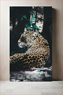 Πίνακας, Majestic Leopard Resting in Jungle Majestic Leopard που αναπαύεται στη ζούγκλα