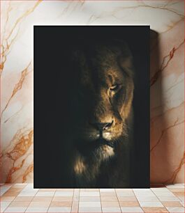 Πίνακας, Majestic Lion in Low Light Majestic Lion σε χαμηλό φως