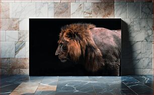 Πίνακας, Majestic Lion in Profile Majestic Lion στο προφίλ