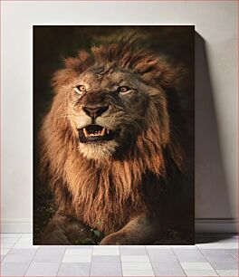 Πίνακας, Majestic Lion in the Wild Majestic Lion in the Wild