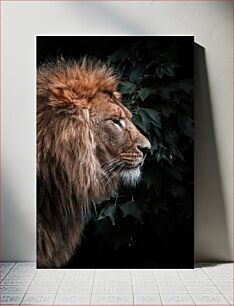 Πίνακας, Majestic Lion Majestic Lion