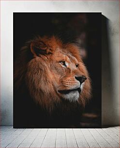 Πίνακας, Majestic Lion Portrait Majestic Lion Portrait