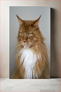 Πίνακας, Majestic Long-Haired Cat Portrait Μεγαλοπρεπές μακρυμάλλης πορτρέτο γάτας