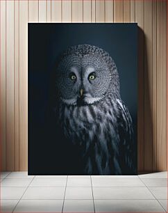 Πίνακας, Majestic Owl in the Night Majestic Owl in the Night