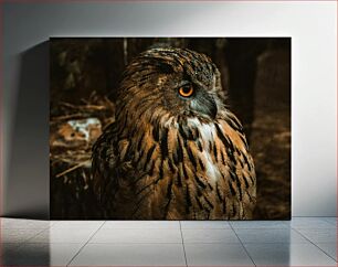 Πίνακας, Majestic Owl Μεγαλοπρεπής Κουκουβάγια