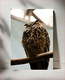 Πίνακας, Majestic Owl Perched Μεγαλοπρεπής Κουκουβάγια Σκαρφαλωμένη