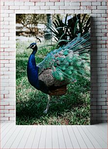 Πίνακας, Majestic Peacock in the Garden Majestic Peacock in the Garden