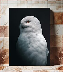 Πίνακας, Majestic Snowy Owl Majestic Snowy Owl
