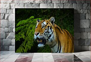 Πίνακας, Majestic Tiger in the Wild Majestic Tiger in the Wild