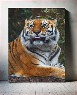 Πίνακας, Majestic Tiger Portrait Majestic Tiger Portrait