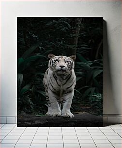 Πίνακας, Majestic White Tiger Majestic White Tiger