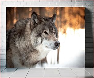 Πίνακας, Majestic Wolf in Winter Forest Μεγαλοπρεπής λύκος στο χειμερινό δάσος