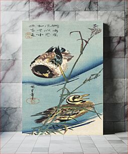 Πίνακας, Mallard ducks (1843) vintage Japanese woodblock print by Utagawa Hiroshige