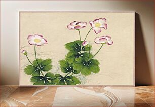 Πίνακας, Mallow flowers (18th Century) by Zhang Ruoai