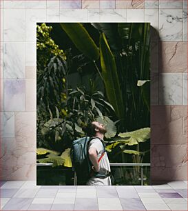 Πίνακας, Man Exploring Lush Greenery Άνθρωπος που εξερευνά το καταπράσινο τοπίο