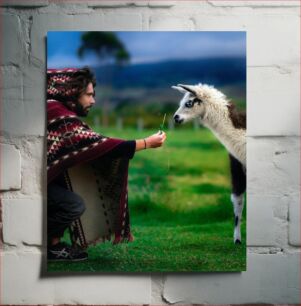 Πίνακας, Man Feeding a Llama Άνδρας που ταΐζει μια λάμα