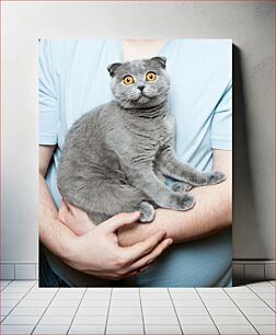 Πίνακας, Man Holding a Gray Cat Άνδρας που κρατά μια γκρίζα γάτα
