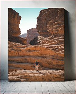 Πίνακας, Man in Rocky Canyon Άνδρας στο Rocky Canyon