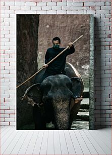 Πίνακας, Man Riding an Elephant Άνδρας που καβαλάει έναν ελέφαντα