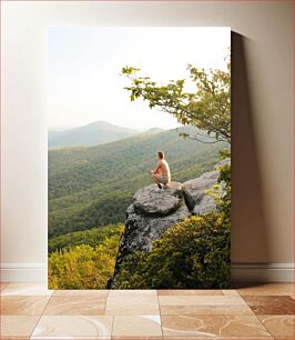 Πίνακας, Man Sitting on Cliff with Scenic Forest View Άνδρας που κάθεται στον γκρεμό με γραφική θέα στο δάσος