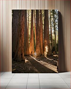 Πίνακας, Man Walking Among Tall Trees Άνδρας που περπατά ανάμεσα σε ψηλά δέντρα