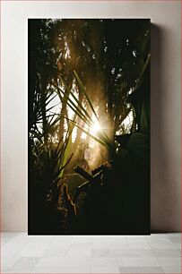 Πίνακας, Man Walking Through Sunlit Forest Άνθρωπος που περπατά μέσα από το ηλιόλουστο δάσος