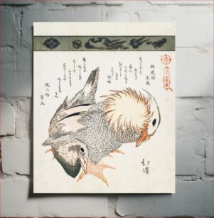 Πίνακας, Mandarin duck and drake (1828) vintage Chinese woodblock print by Totoya Hokkei