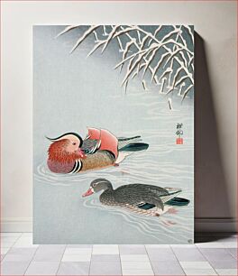 Πίνακας, Mandarin Ducks and Snow by Ohara Shoson