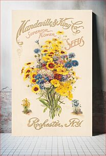 Πίνακας, Mandeville & King Co., superior flower seeds (1907) by Rochester