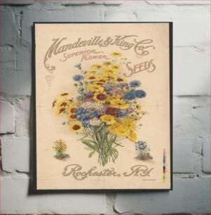 Πίνακας, Mandeville & King Co., superior flower seeds (1907)