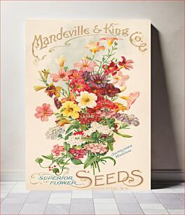 Πίνακας, Mandeville & King Co., superior flower seeds, salpiglossis and verbenas (1905) by Rochester