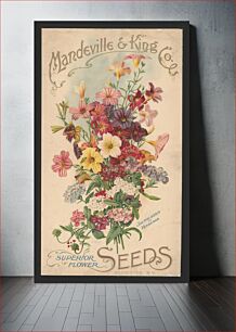 Πίνακας, Mandeville & King Co., superior flower seeds, salpiglossis and verbenas (1905)