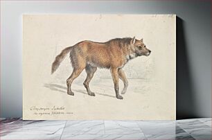 Πίνακας, Maned Wolf by Charles Hamilton Smith