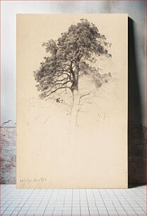 Πίνακας, Männyn latva. todennäk. 1880-luvun jälkipuol. merk. oik.alh. e.j., 1885 - 1889part of a sketchbook, Eero Järnefelt