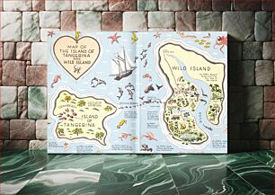 Πίνακας, Map of the island of Tangerina and Wild Island