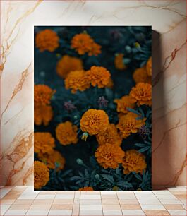 Πίνακας, Marigold Flowers Άνθη κατιφέ