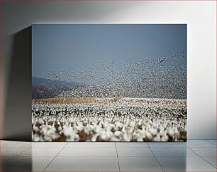 Πίνακας, Mass Migration of Birds Μαζική Μετανάστευση Πτηνών