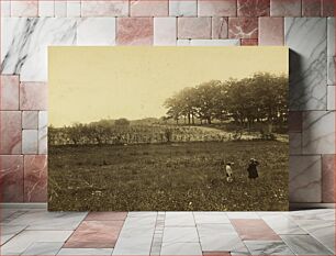 Πίνακας, Mathew Brady at Gettysburg