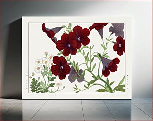 Πίνακας, Matricaria & salpiglossis flower, Japanese woodblock art
