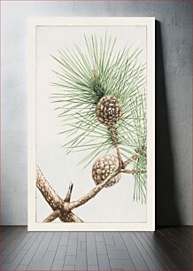 Πίνακας, Matsu pine during 1870–1880 by Megata Morikaga