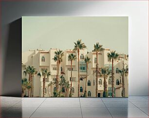 Πίνακας, Mediterranean Architecture with Palm Trees Μεσογειακή Αρχιτεκτονική με Φοίνικες