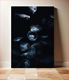 Πίνακας, Mesmerizing Jellyfish in the Dark Μαγευτική μέδουσα στο σκοτάδι