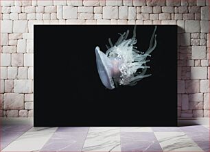 Πίνακας, Mesmerizing Jellyfish Μαγευτική μέδουσα