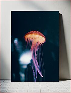 Πίνακας, Mesmerizing Jellyfish Μαγευτική μέδουσα