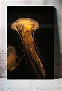 Πίνακας, Mesmerizing Jellyfish Μαγευτική μέδουσα