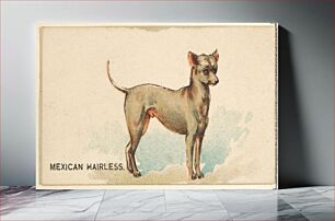 Πίνακας, Mexican Hairless, from the Dogs of the World series for Old Judge Cigarettes