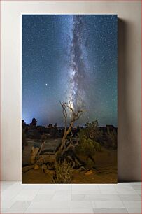 Πίνακας, Milky Way Over a Desert Tree Milky Way Over a Desert Tree